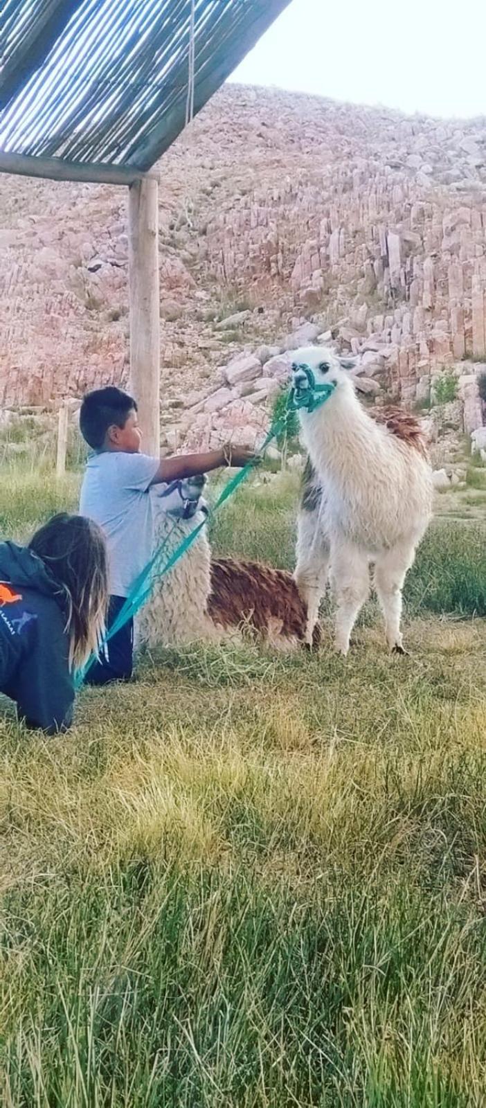 Cabana Huasi Rumi Abra Pampa Dış mekan fotoğraf