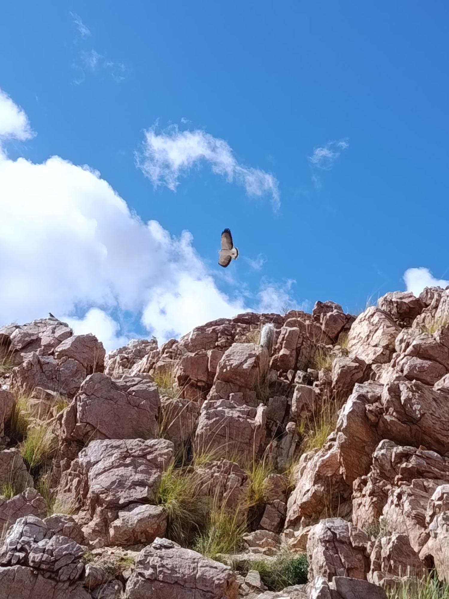 Cabana Huasi Rumi Abra Pampa Dış mekan fotoğraf